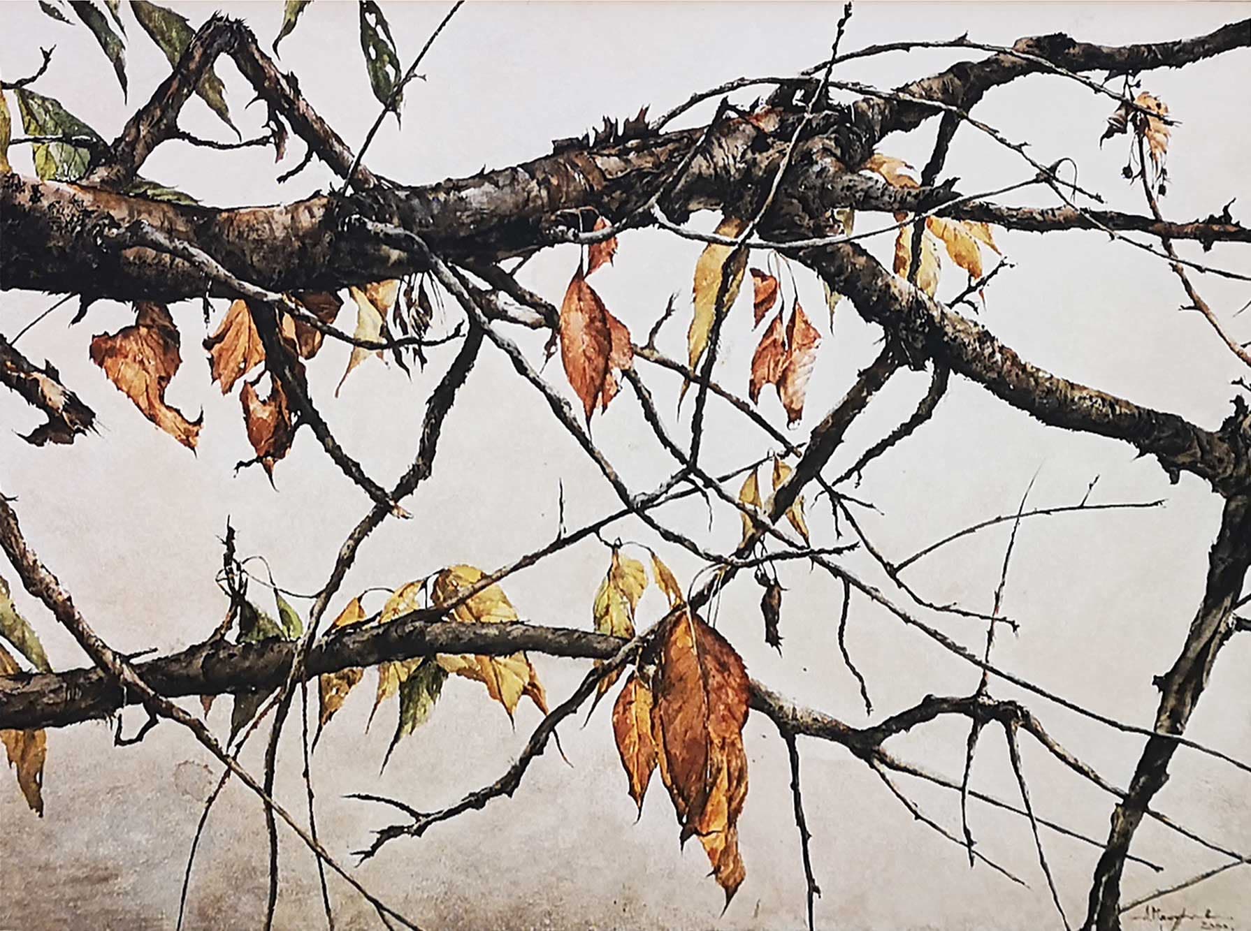 Есенна череша