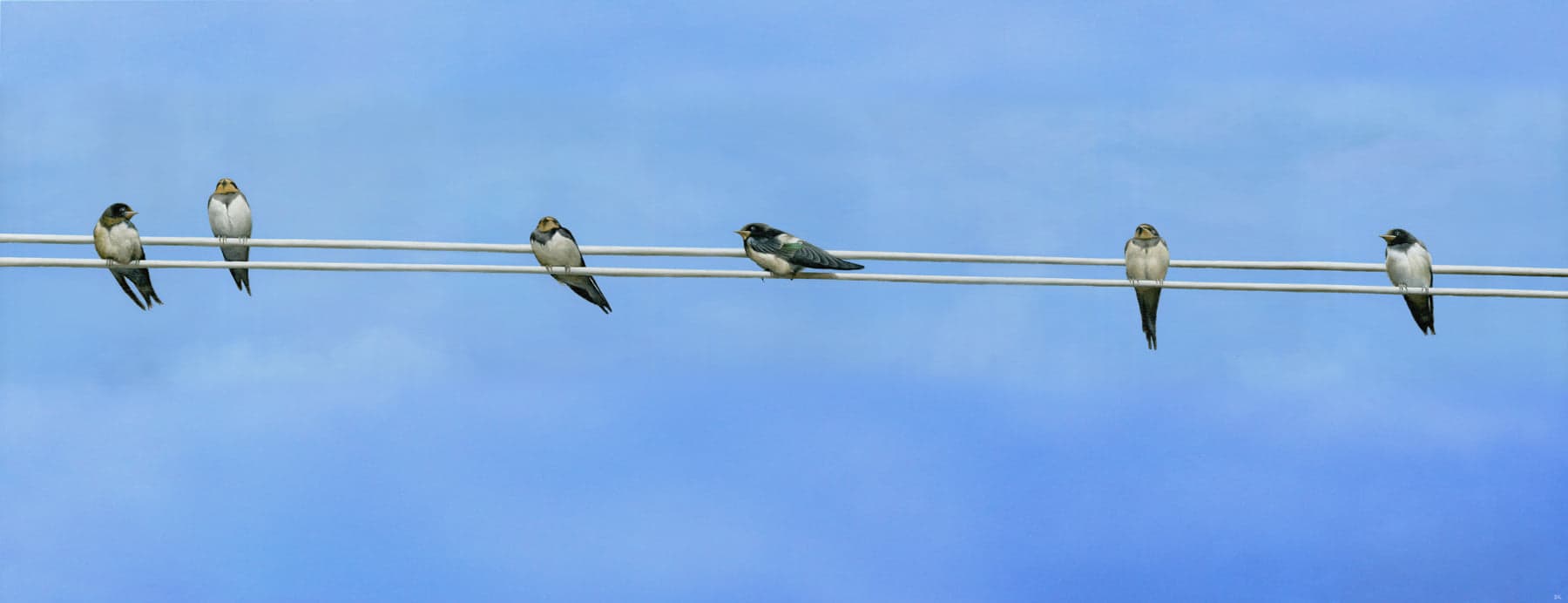 Мълчания - Бойко Колев - 16.02.-07.03.2021г.